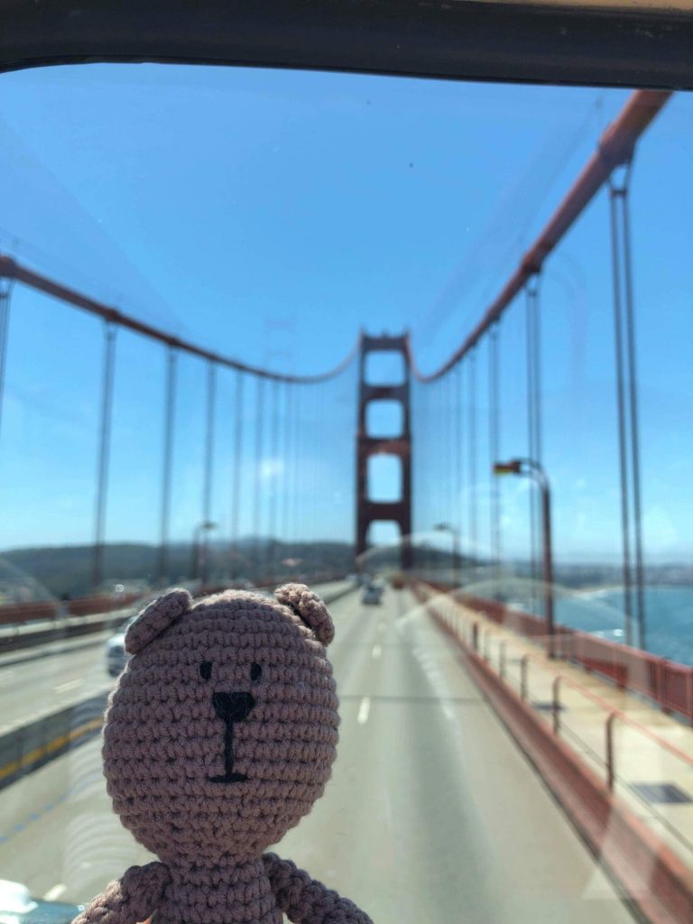 Szydełkowy Miś Podróżnik w San Francisco